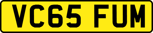 VC65FUM