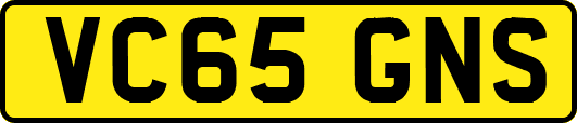 VC65GNS
