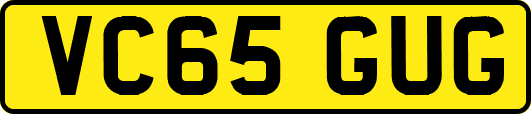 VC65GUG