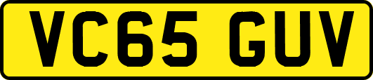 VC65GUV