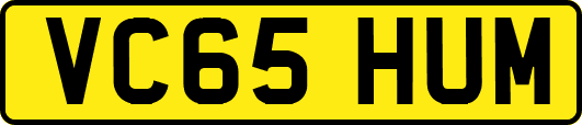 VC65HUM
