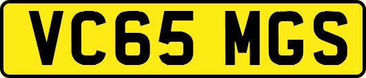 VC65MGS