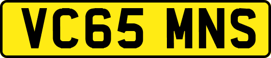 VC65MNS