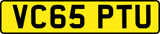 VC65PTU