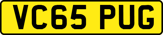 VC65PUG