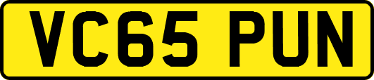VC65PUN
