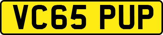 VC65PUP