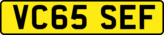 VC65SEF