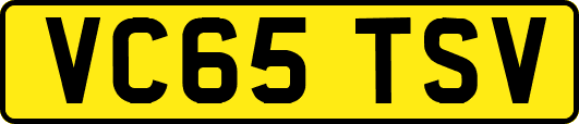 VC65TSV
