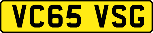 VC65VSG
