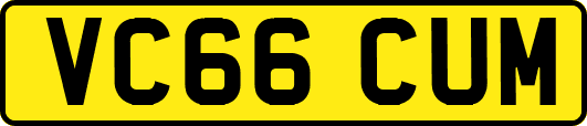 VC66CUM