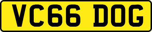 VC66DOG