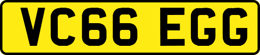 VC66EGG