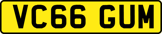 VC66GUM