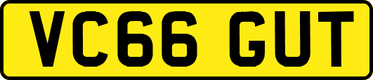 VC66GUT