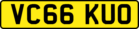 VC66KUO