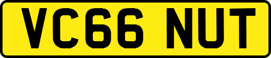VC66NUT