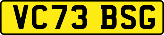 VC73BSG