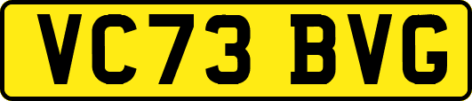 VC73BVG