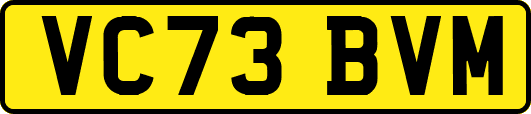 VC73BVM
