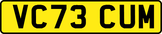 VC73CUM