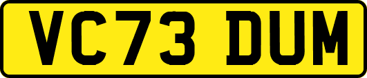 VC73DUM