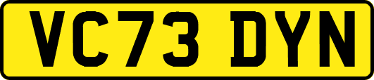 VC73DYN