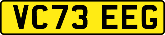 VC73EEG