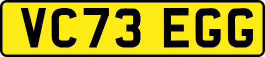 VC73EGG