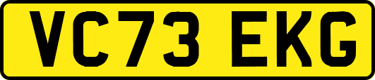 VC73EKG