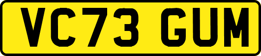 VC73GUM