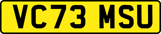 VC73MSU
