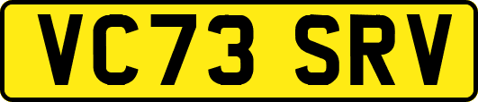 VC73SRV