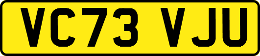 VC73VJU