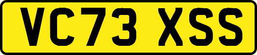 VC73XSS