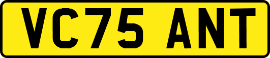 VC75ANT