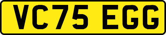 VC75EGG