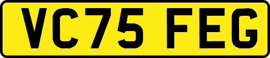 VC75FEG