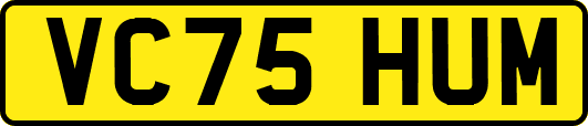 VC75HUM