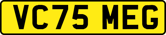VC75MEG