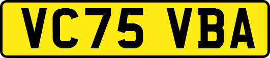 VC75VBA