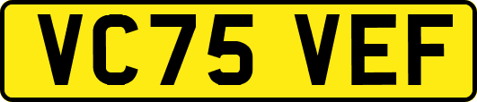 VC75VEF