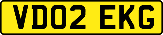 VD02EKG