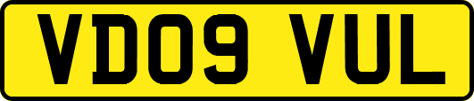 VD09VUL