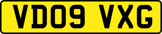 VD09VXG