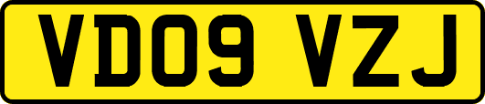 VD09VZJ