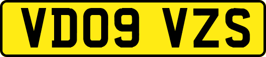 VD09VZS