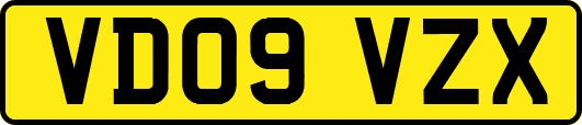 VD09VZX