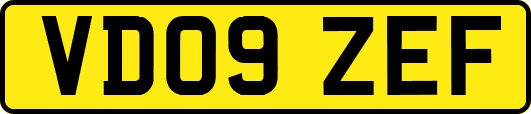 VD09ZEF