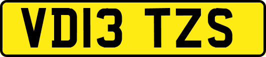 VD13TZS